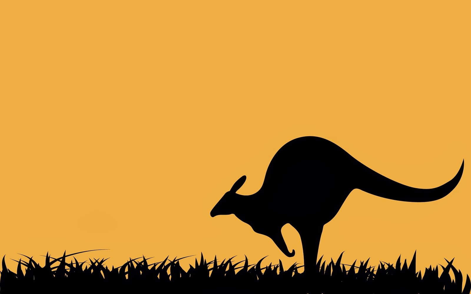 Cartoon Kangaroo Wallpaper