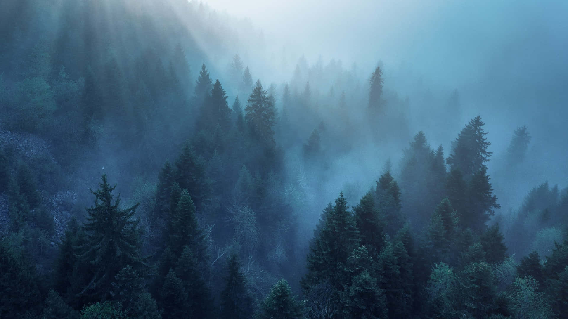 Foggy Aesthetic Wallpaper