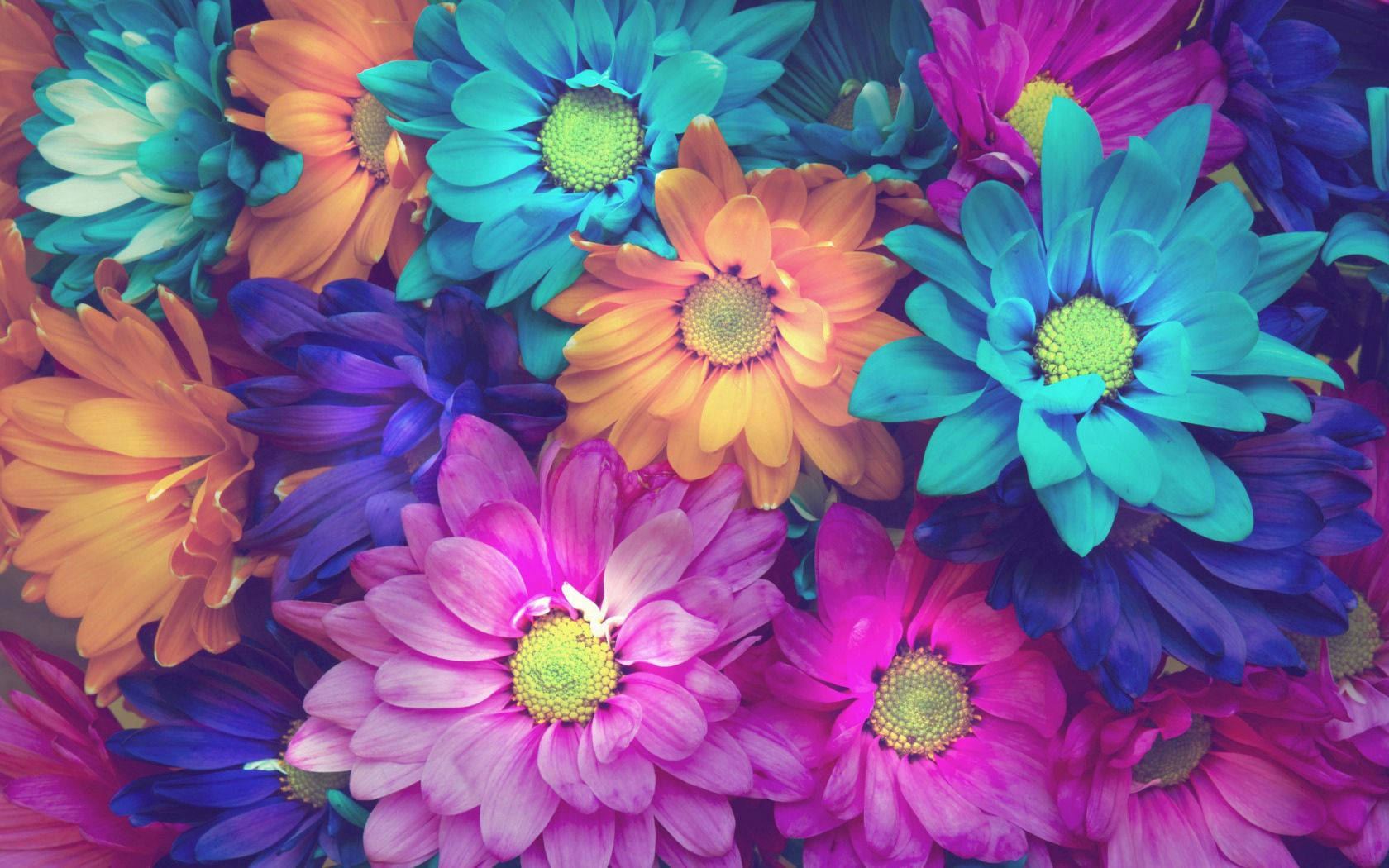 Flower Wallpaper For Desktop