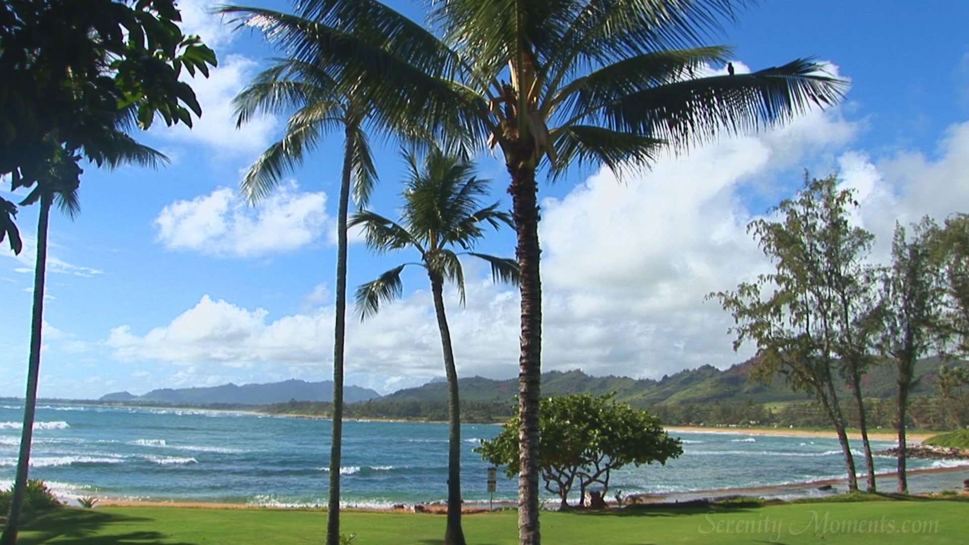 Screensavers Saver Screen Beach Kauai