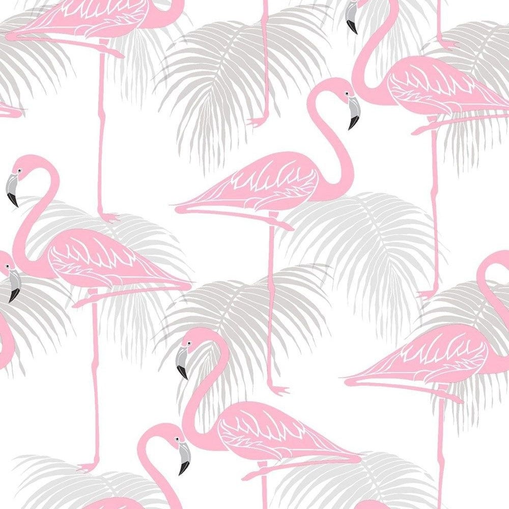 Flamingo Wallpaper Image Group
