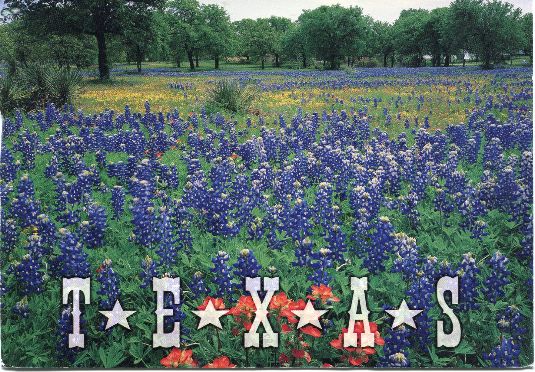 Usa Texas Remembering Letters And Postcards