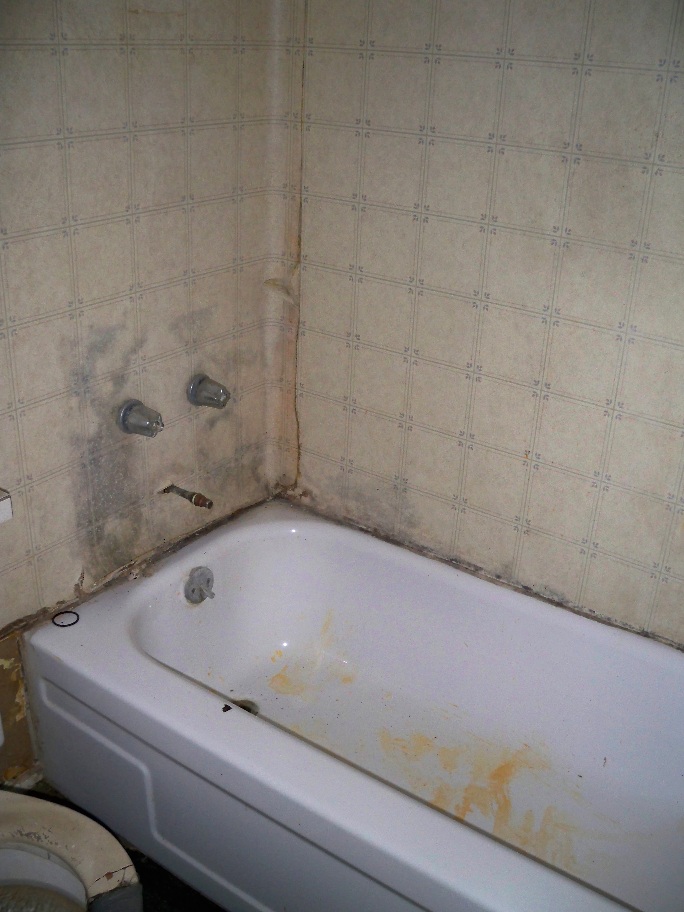 Wallpaper Shower Surround Dirty Bathroom Mold Mildew Fixer Upper