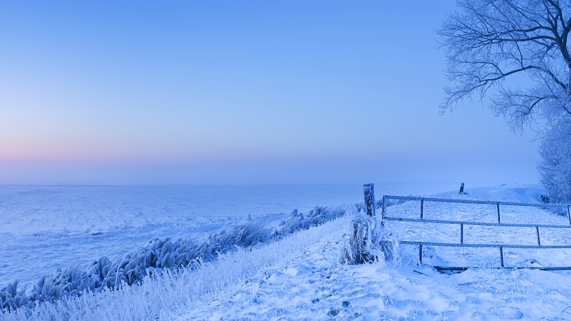 Sch Ne Kalten Winter Schnee Windows Panorama Widescreen Wallpaper