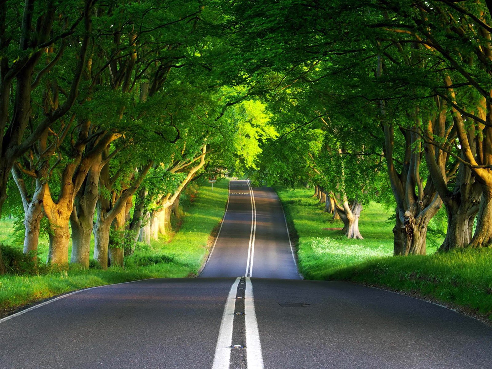 Most Beautiful Scenery Image Wallpaper World