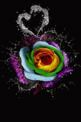 Download Rainbow Rose Live Wallpaper for Android by