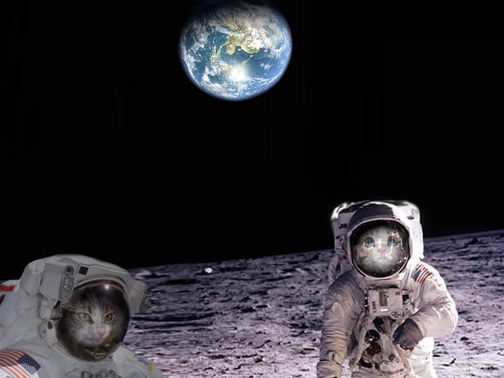 Most Funny Space Pictures And Photos