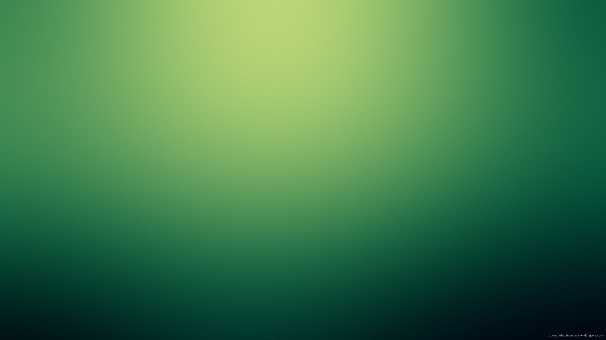 Simple Green Highlight Wallpaper