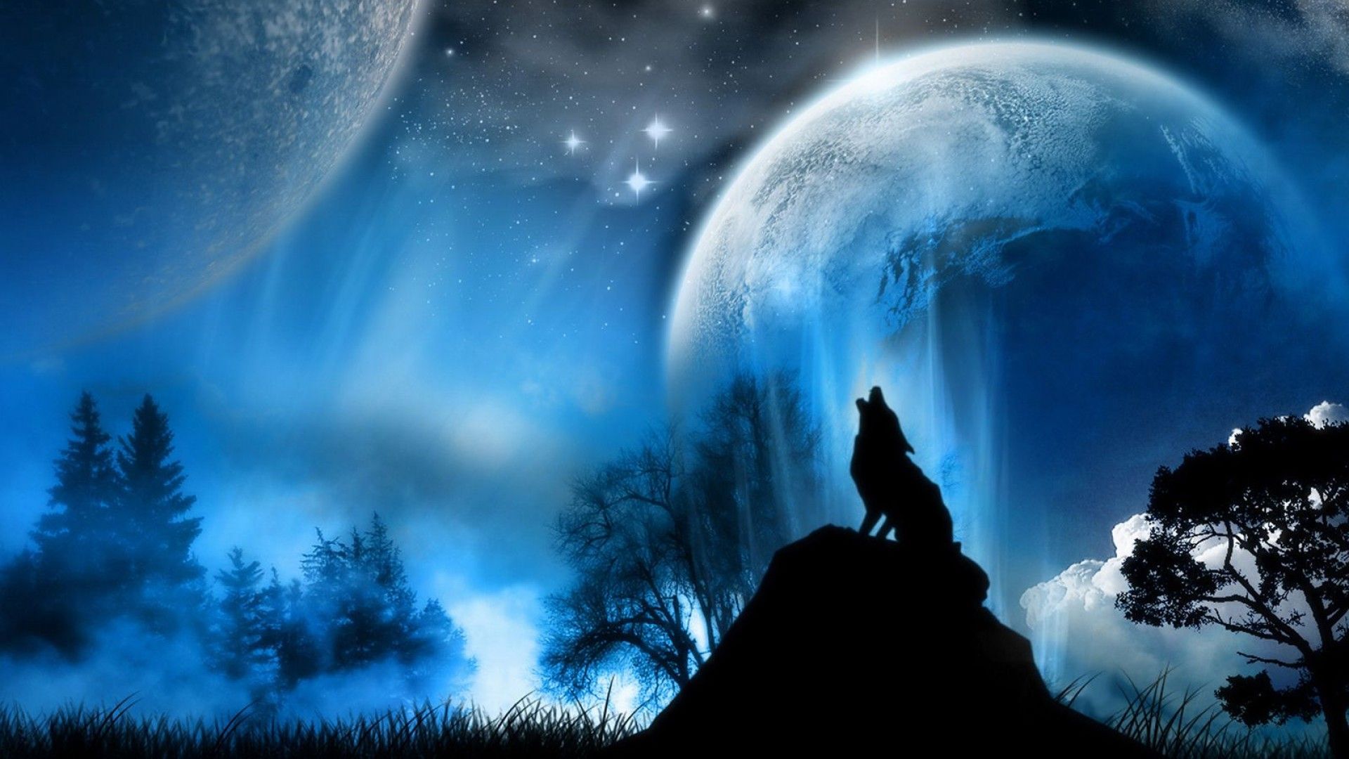 Spiritual Wolf Homepage Wolf Black Wolf wallpaper wolf