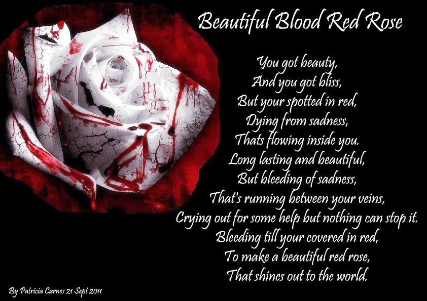Bloody Rose Wallpaper HD For Walls Mobile Phone Widescreen