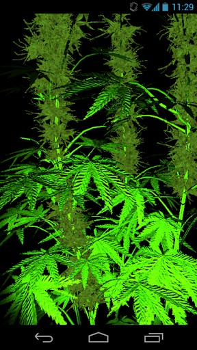 Weed 3d Live Wallpaper Full For Android Appszoom