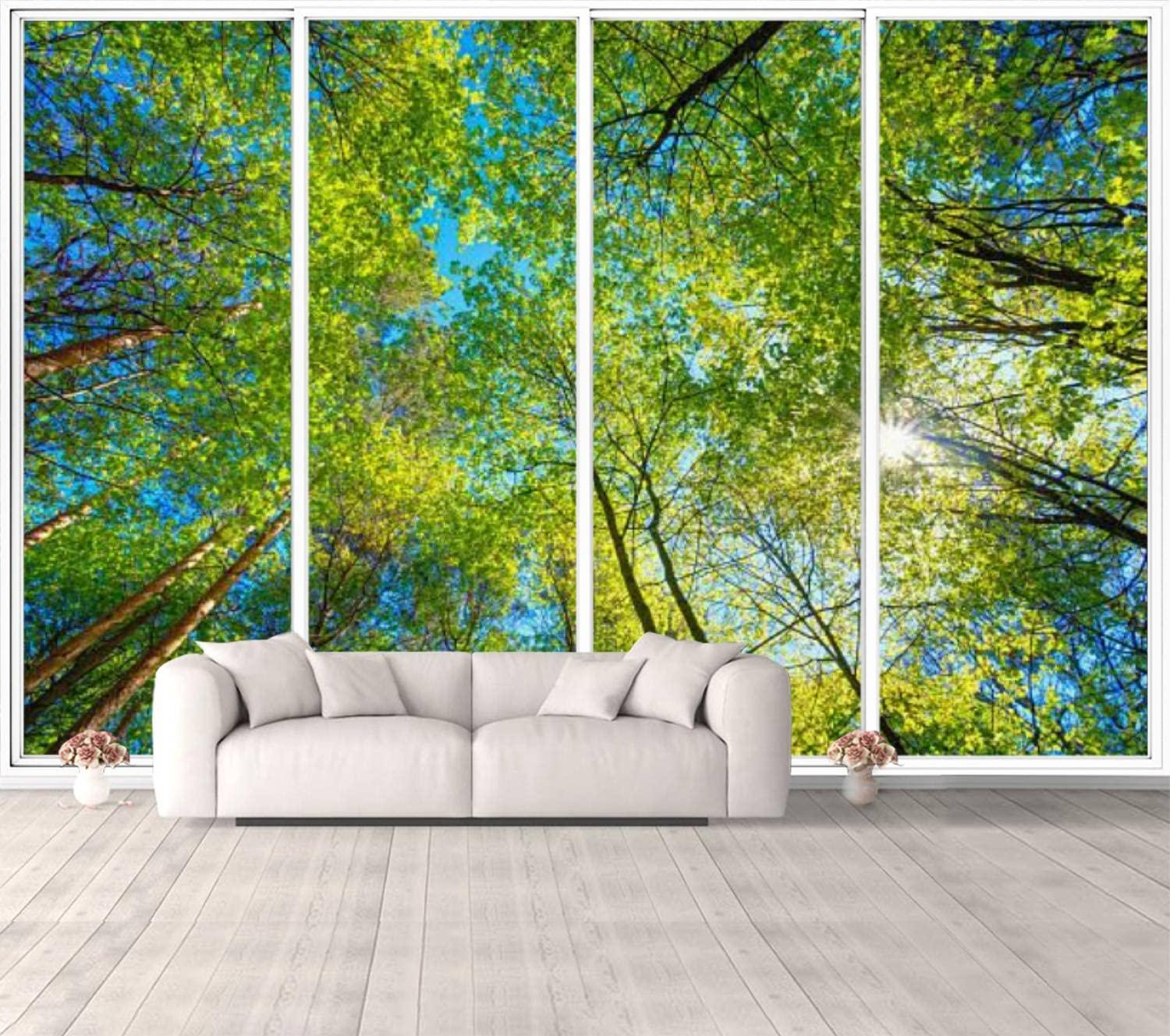 Amazoncom 3D Fake Window Wallpaper Sunny Canopy Tall Trees