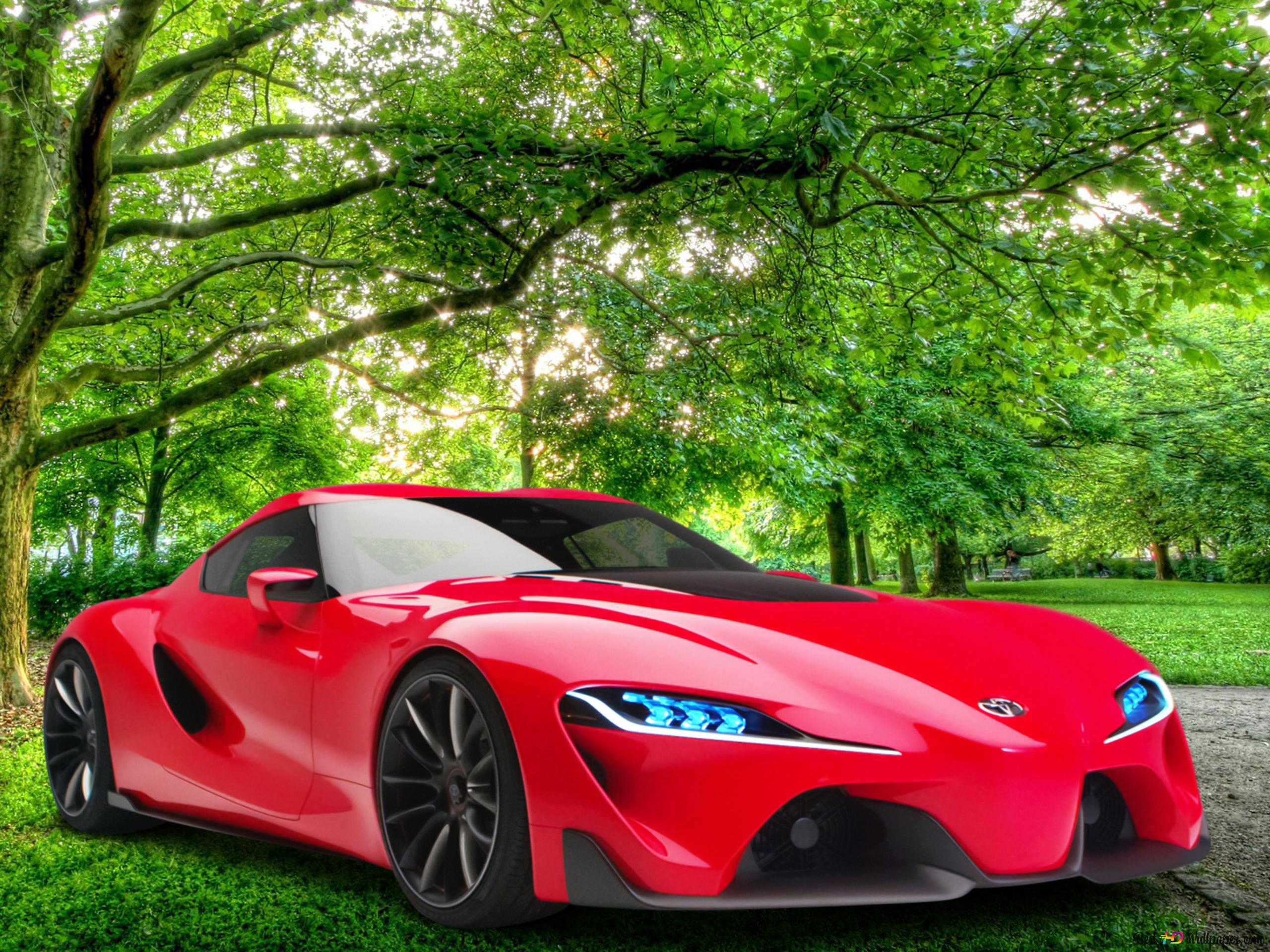 Lotus A Vision That Still Stands Strong 4k Wallpaper