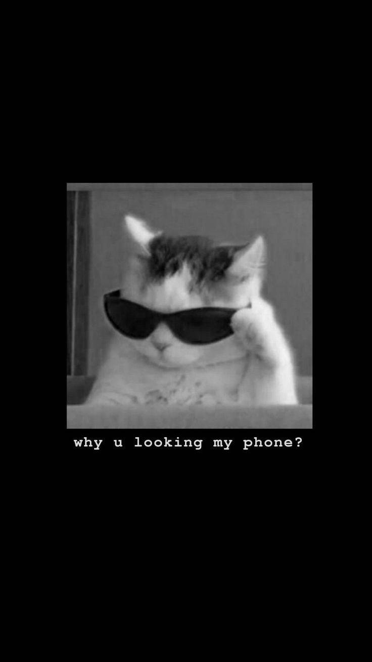 Get Off My Phone Wallpaper