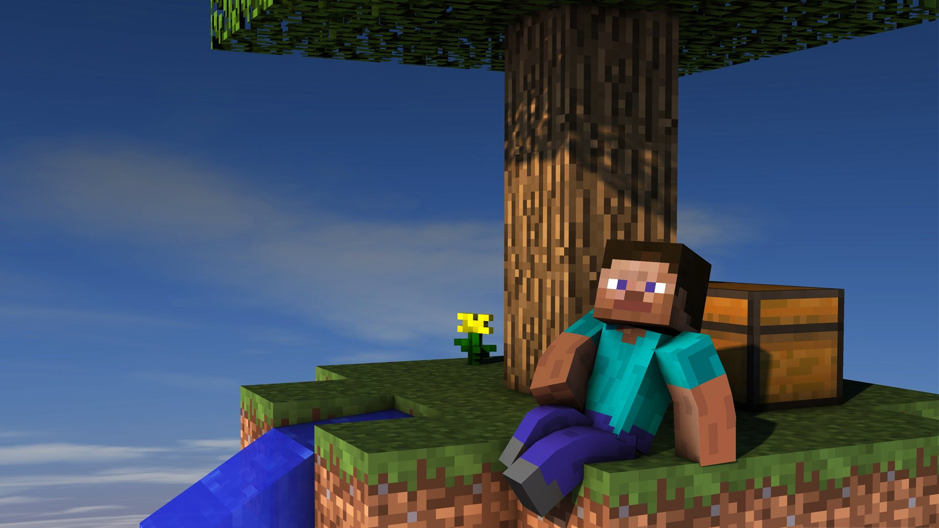 Steve Video Game Minecraft HD Wallpaper