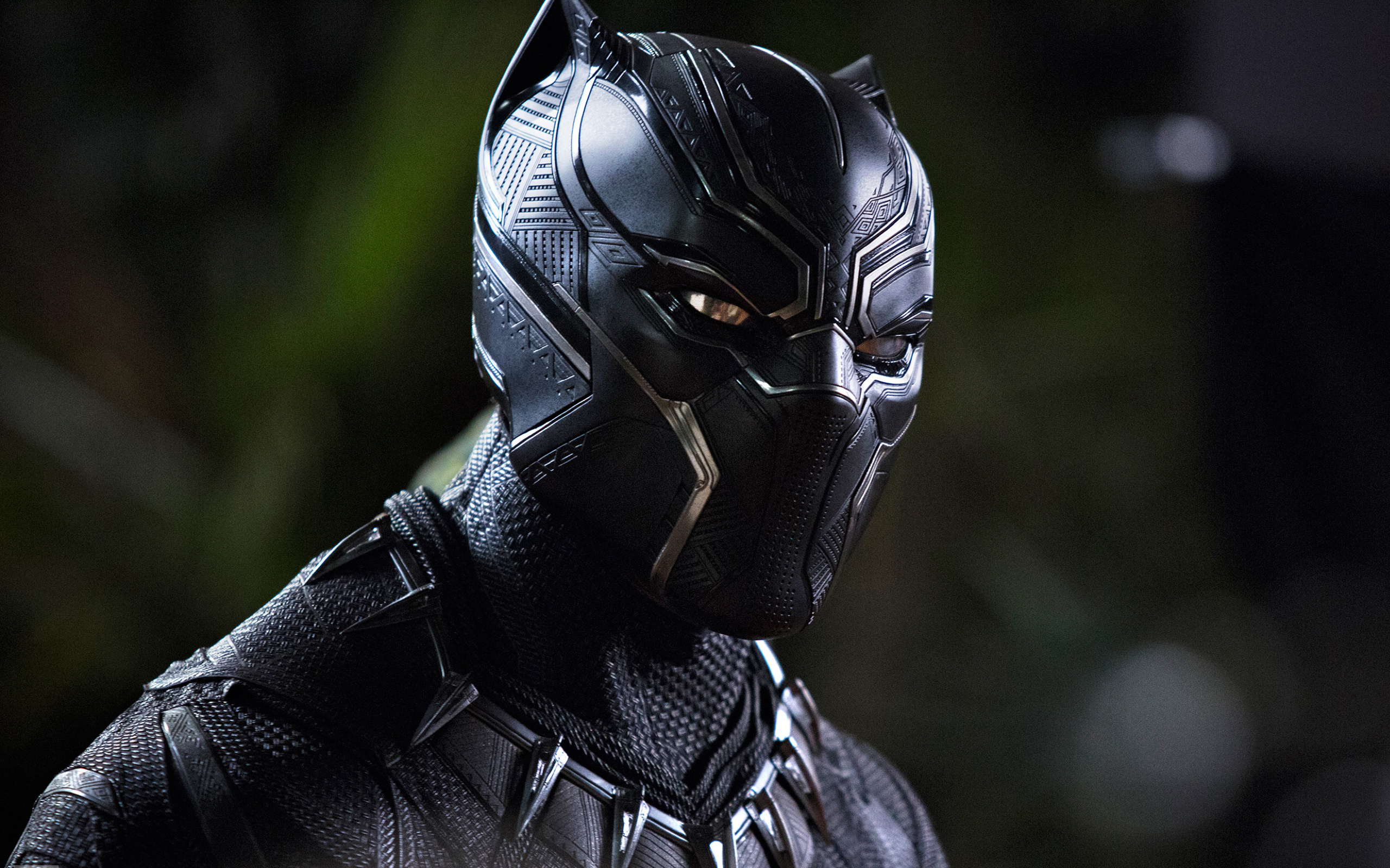 Black Panther Movie Full HD 2K Wallpaper