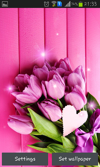 Pink Tulips Live Wallpaper For Android