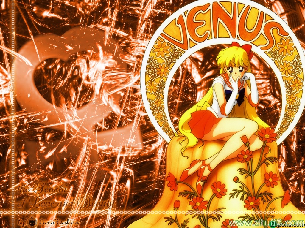Sailor Venus Image Wallpaper HD And