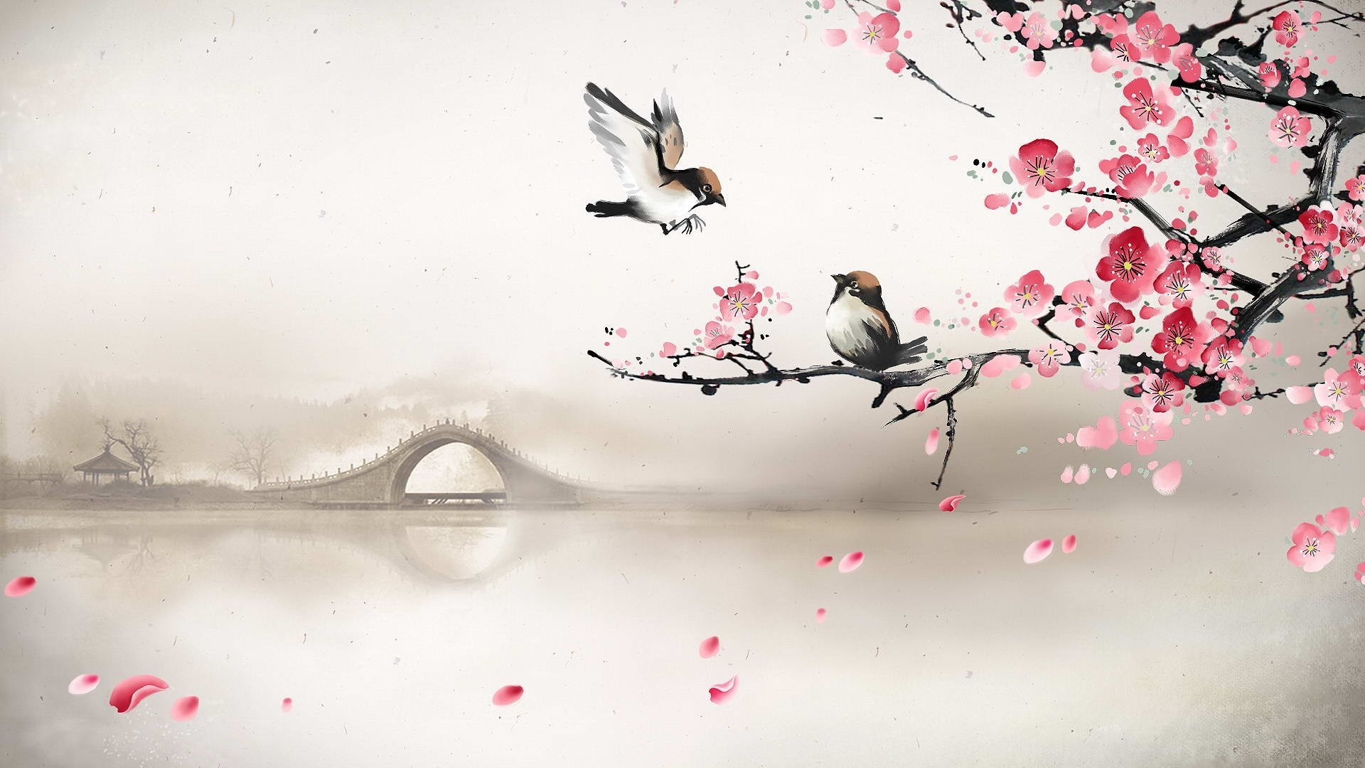 Sakura Wallpaper Image Photos Picture