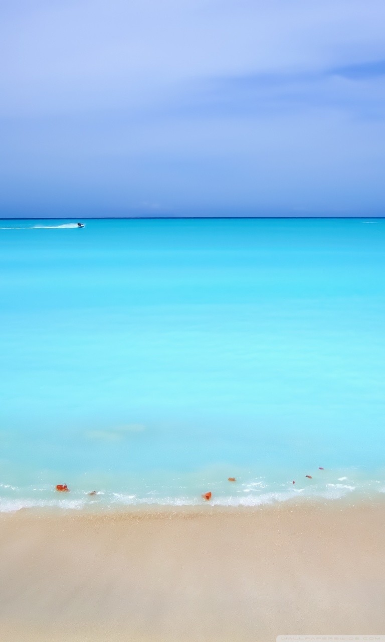 Caribbean Beach Phone Wallpaper By Ceifertii