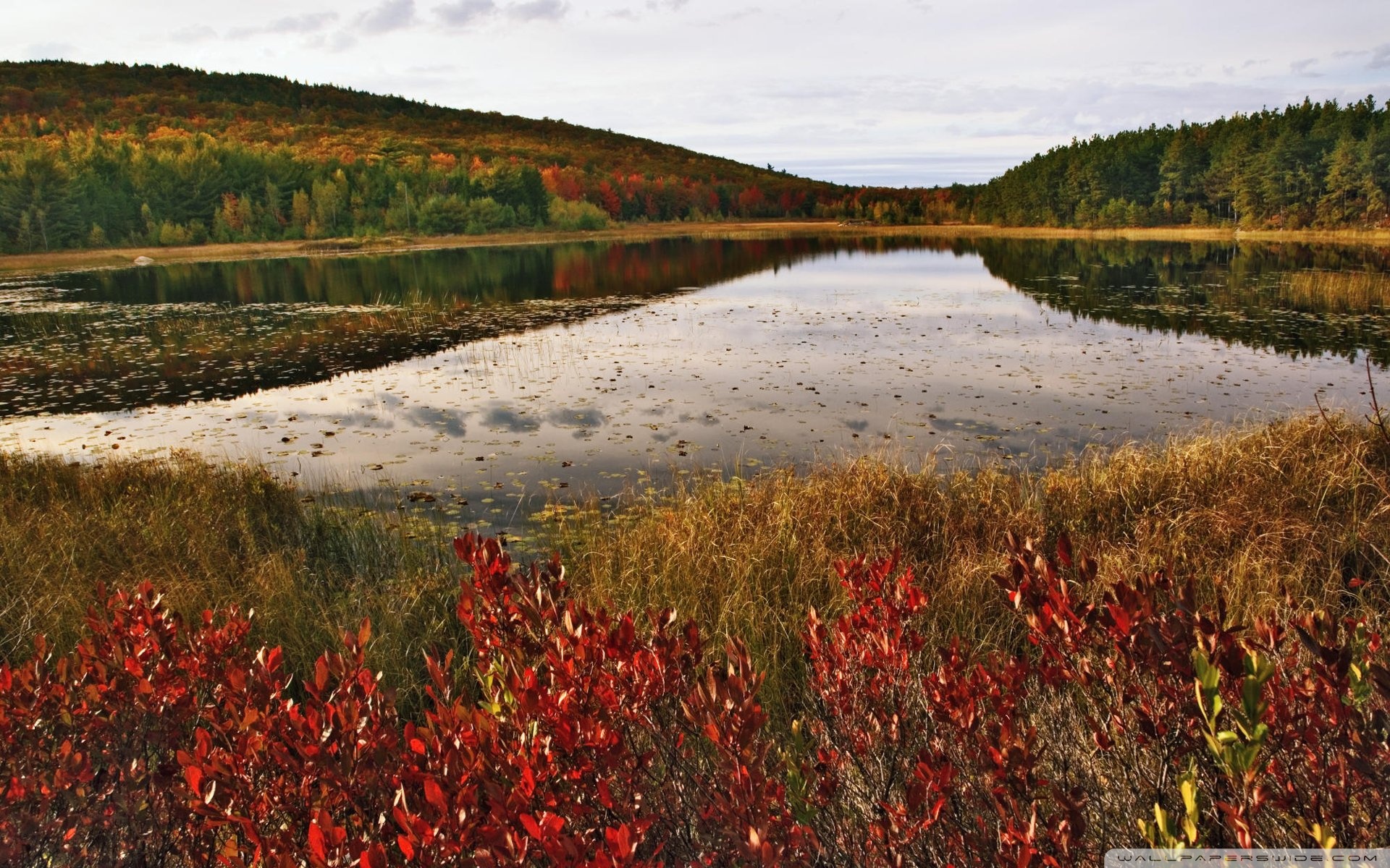 Breakneck Pond Acadia National Park Maine 4k HD Desktop
