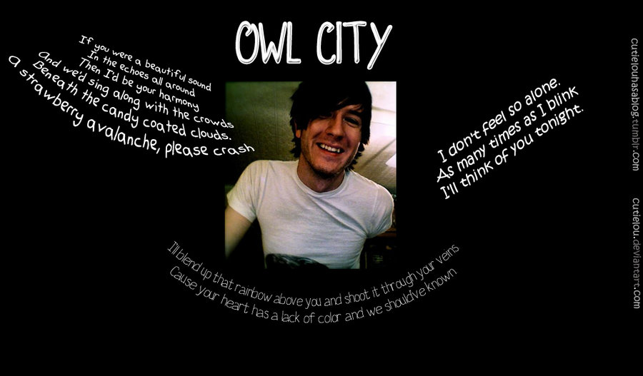 And Owl Favoritewallpaper Of Andowl City Lt For Background