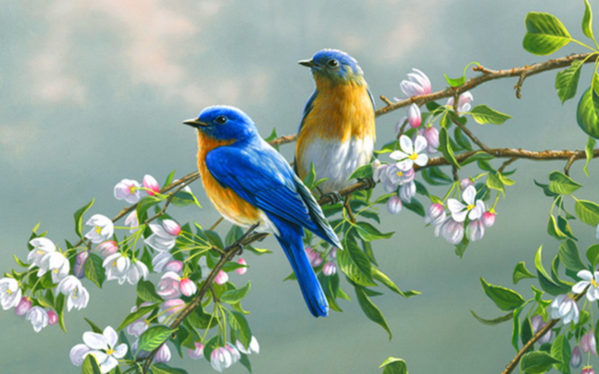 Paintings Flowers Birds Animals Desktop Wallpaper
