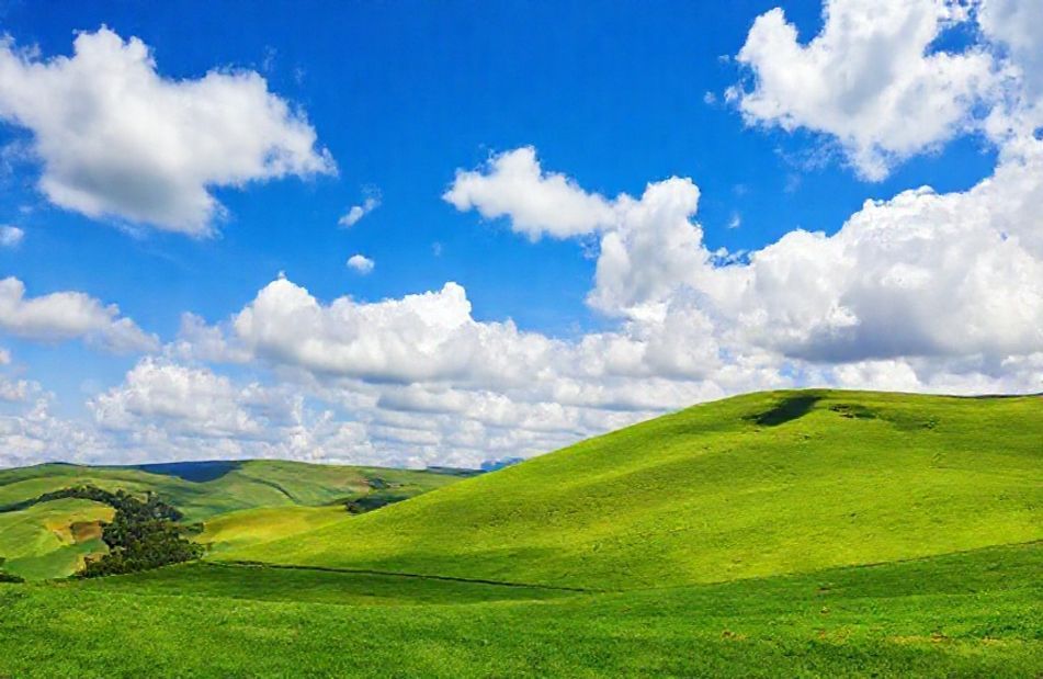 Windows Original Wallpaper