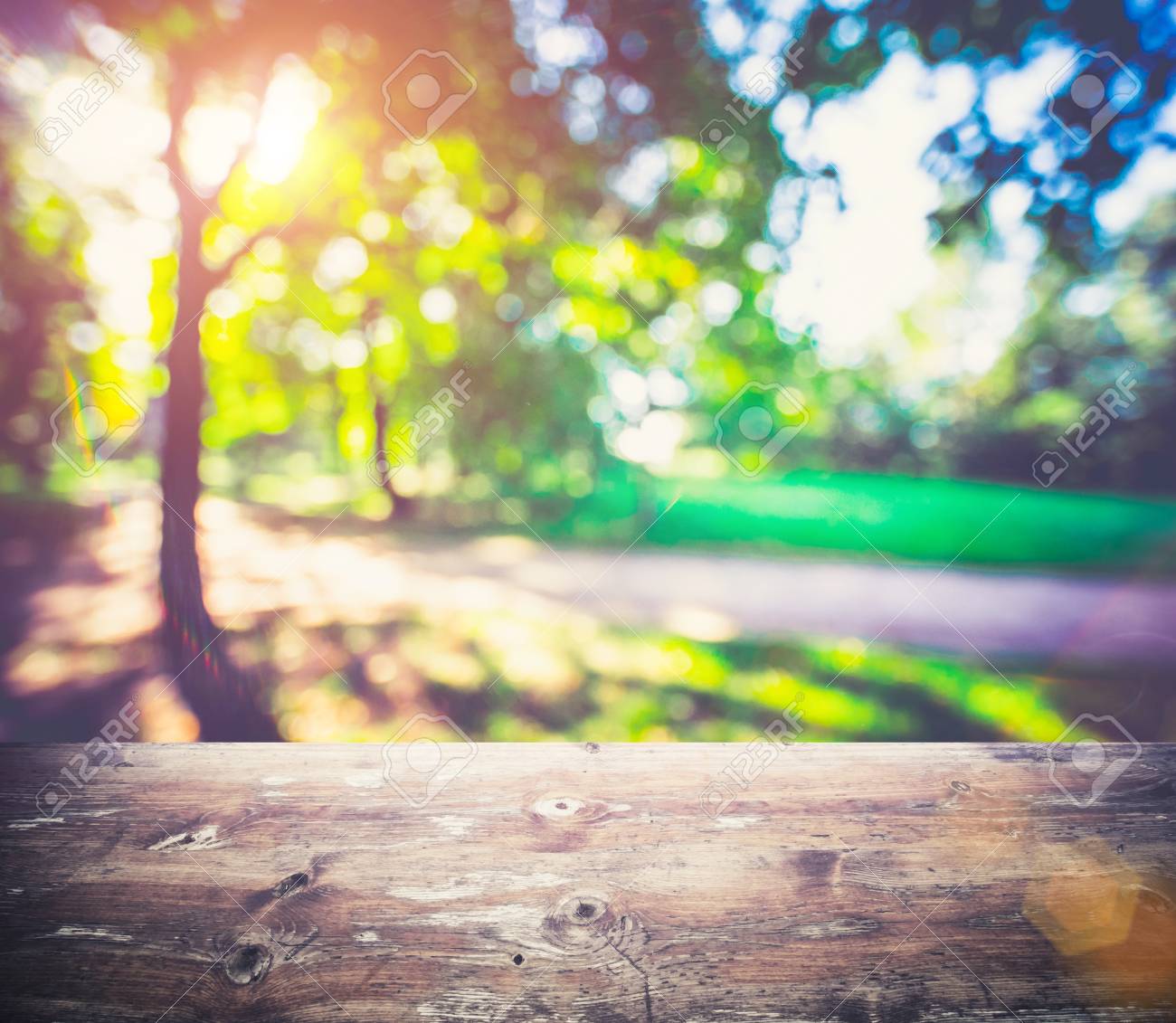 Park Outdoor Blur Background Summer Bokeh Morning Stock Photo