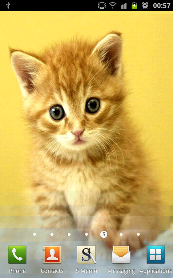 Cute Kittens Wallpaper Android Apps On Google Play