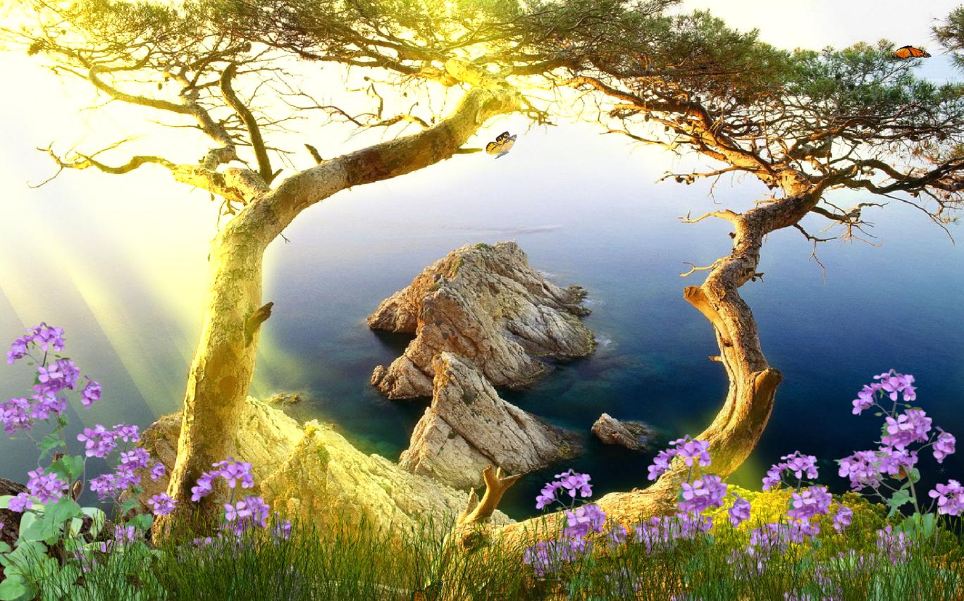 download now beautiful landscape animated wallpaper downloaded 8183