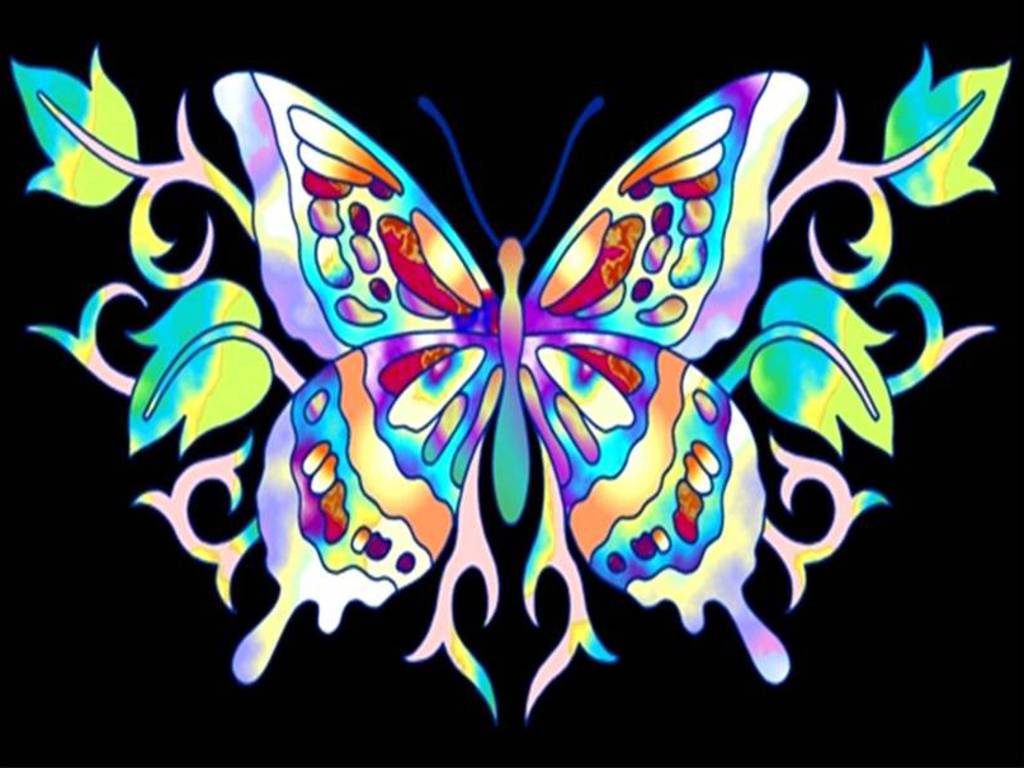 Butterfly Wallpaper 3D Wallpaper Nature Wallpaper Free Download