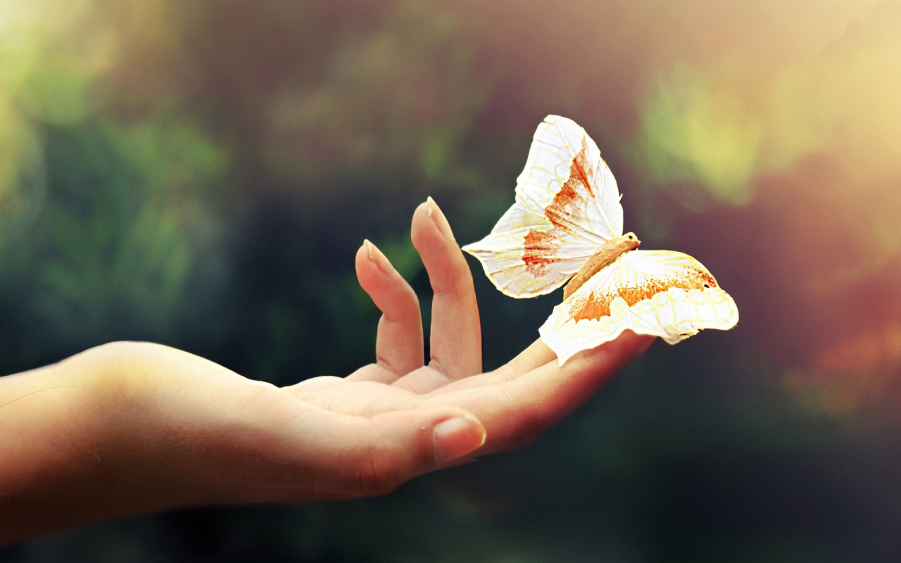 Butterfly Flying Away From Hands HD Wallpaper Background Image