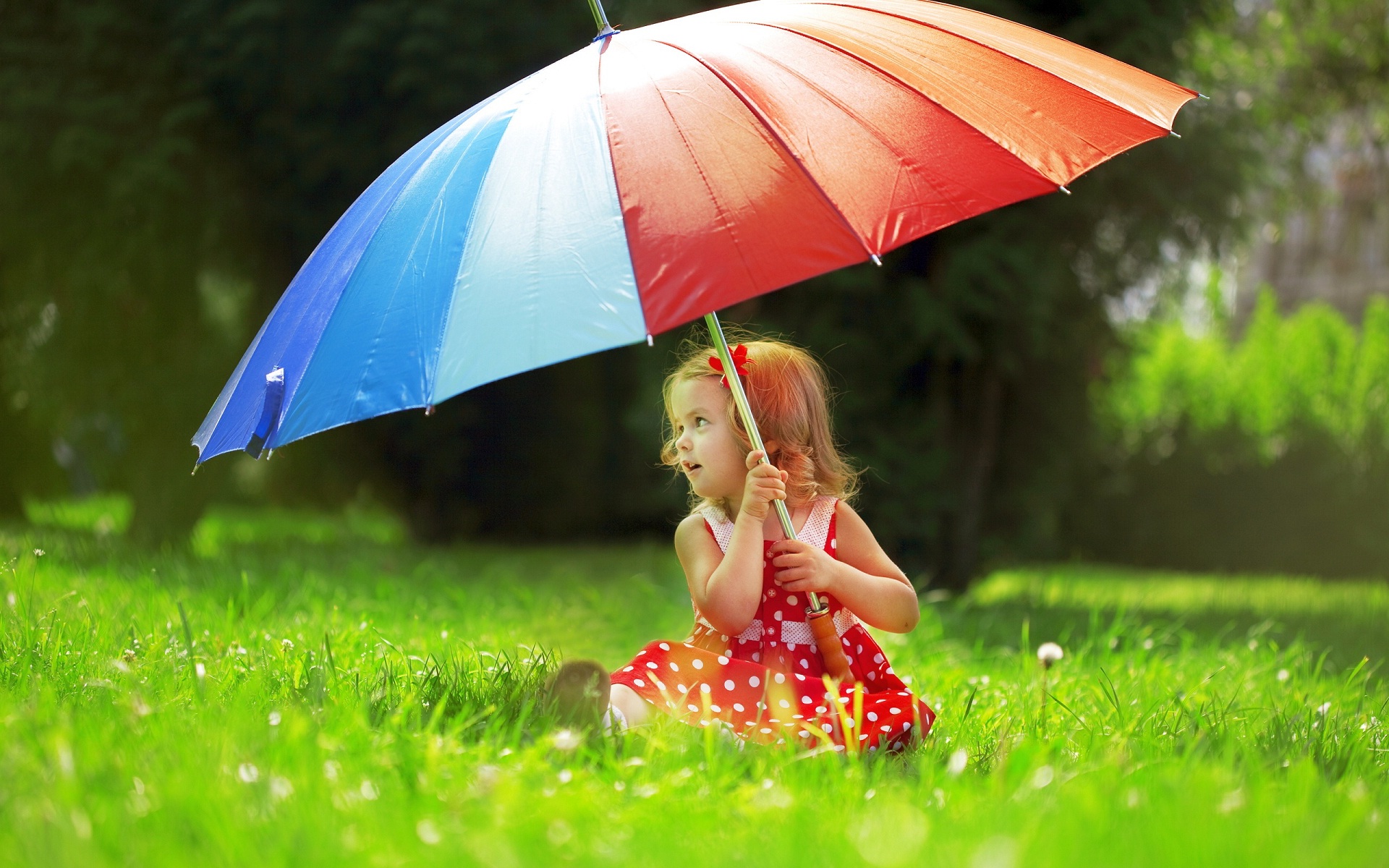 Cute Baby HD Wallpaper