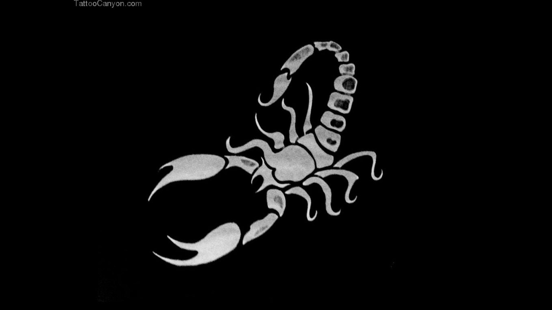 Scorpion tatuaje Designs Fondos de pantalla Imágenes por Shep39  Imágenes  españoles imágenes