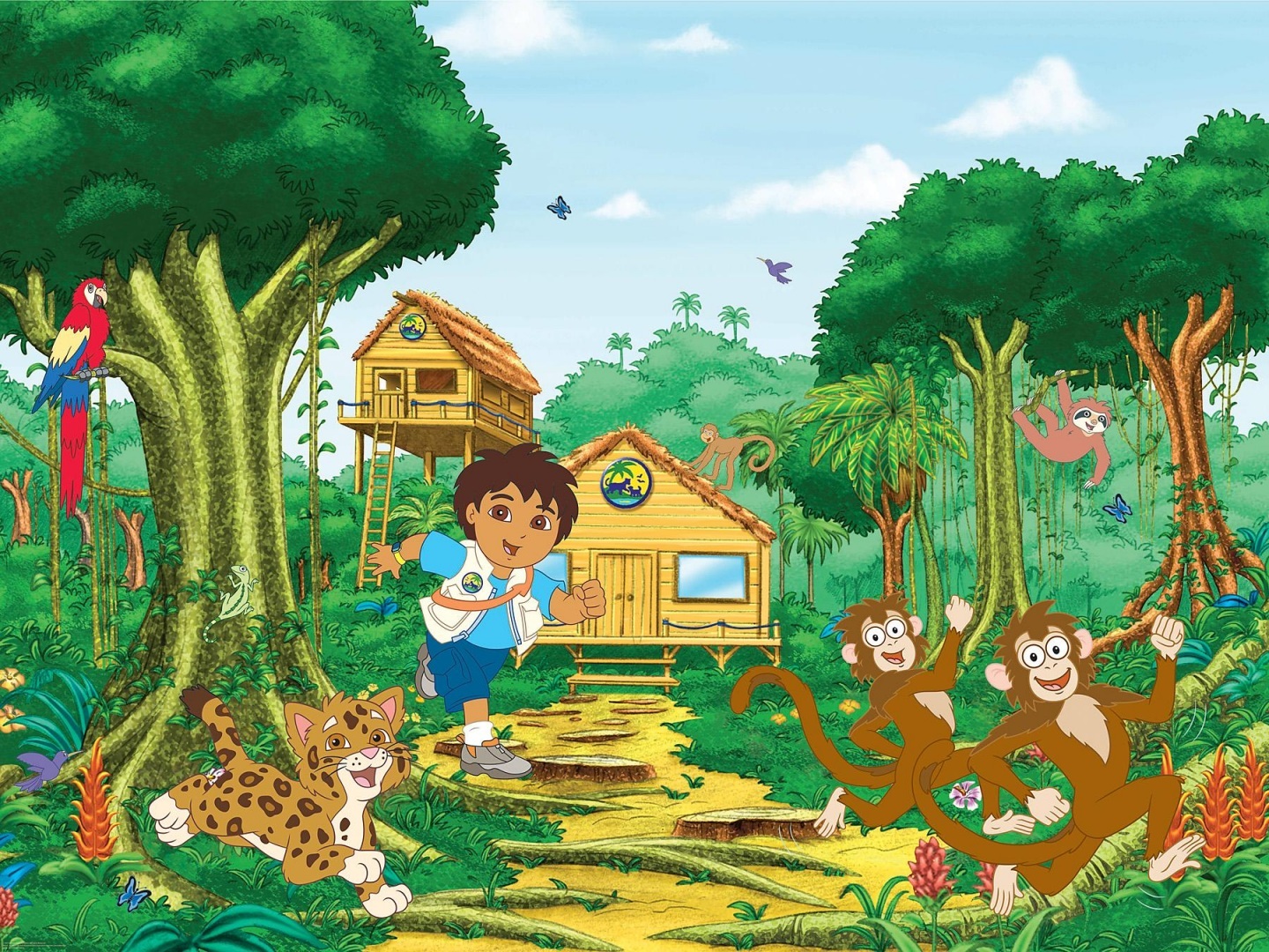 Go Diego Wall Mural Nickelodeon S To Jacklyn31