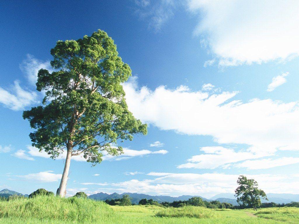 Relaxing Desktop Background