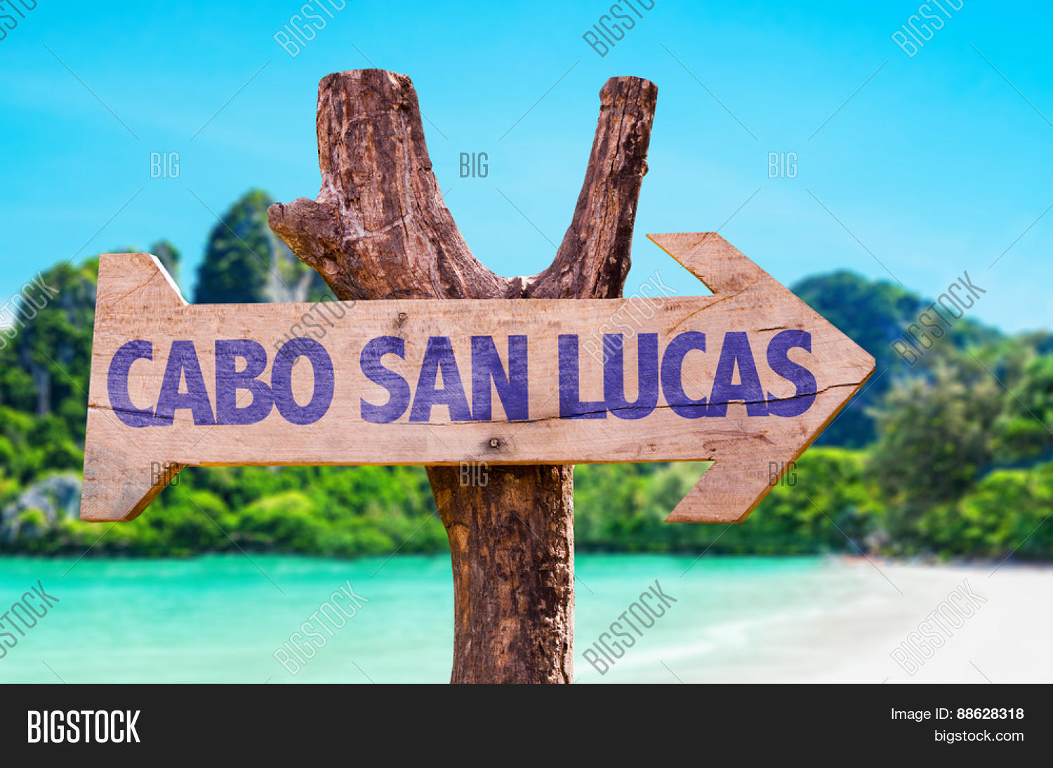 Cabo San Lucas Wooden Image Photo Trial Bigstock