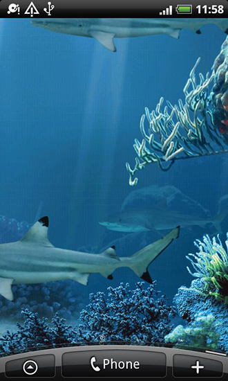 Shark Reef Live Wallpaper For Android