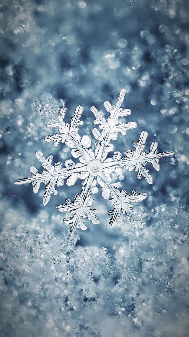Wallpaper Winter Beautiful Snowflakes