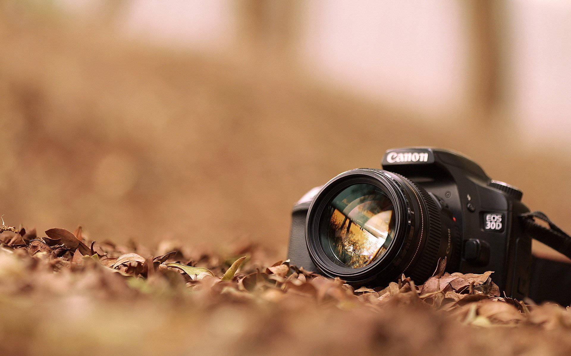 Eos 30d Dslr Camera Hs1nld47sbkao6pn Wallpaper