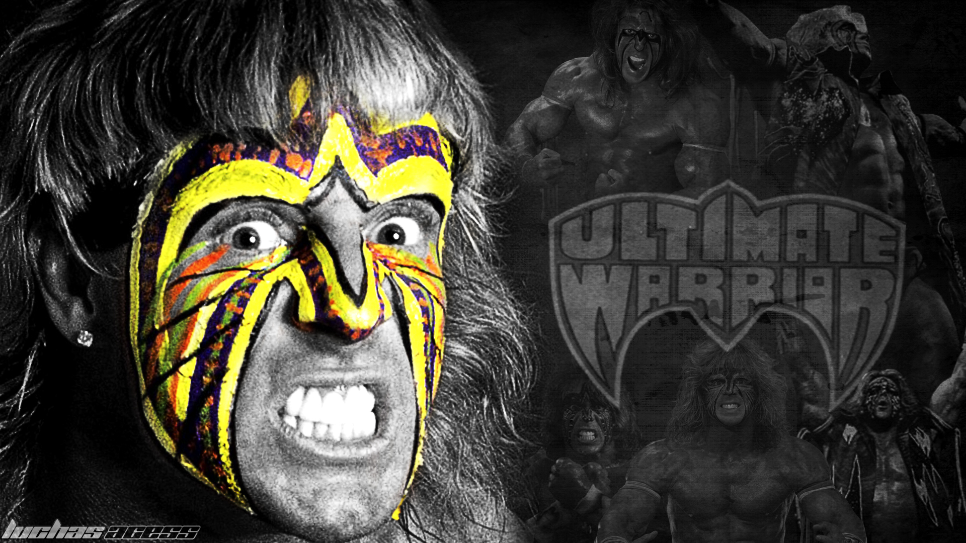 Wallpaper Ultimate Warrior 2014 luchas acess