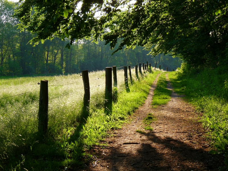 Fence Field My Way Into The Summersun By Dieffi Nature Fields HD