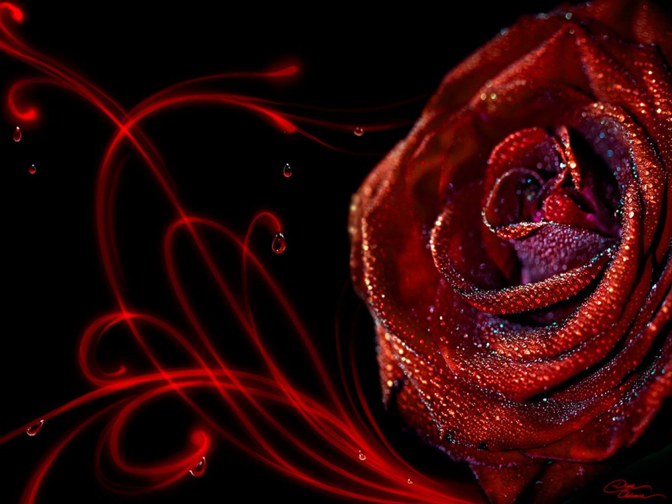 Live Wallpaper 3d Rose Flower Image Num 78