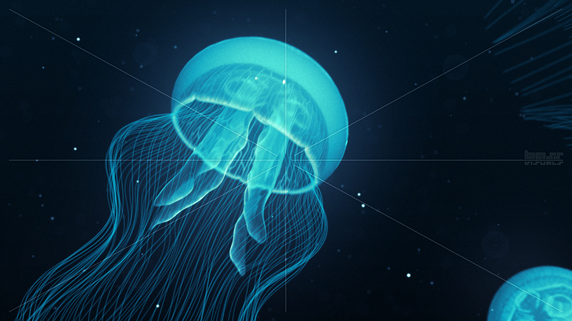 Background Jellyfish Nightlights Visuals Blue Light Dark