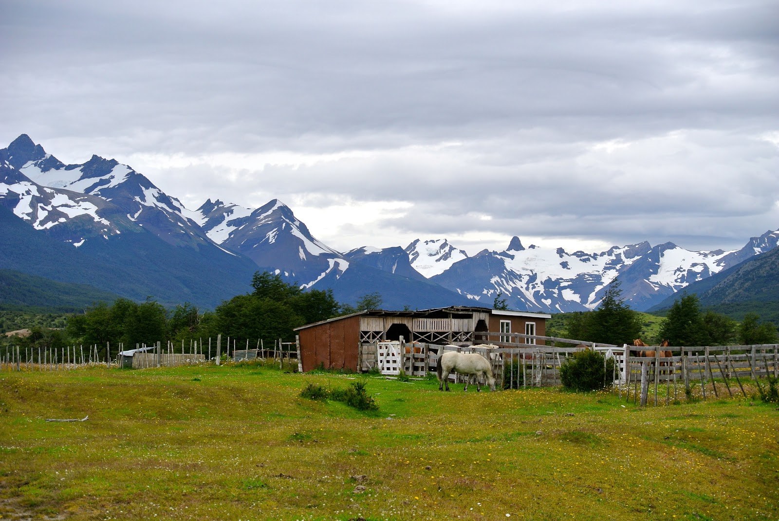 Photography Photo Patagonia Ranch Landscape Wallpaper