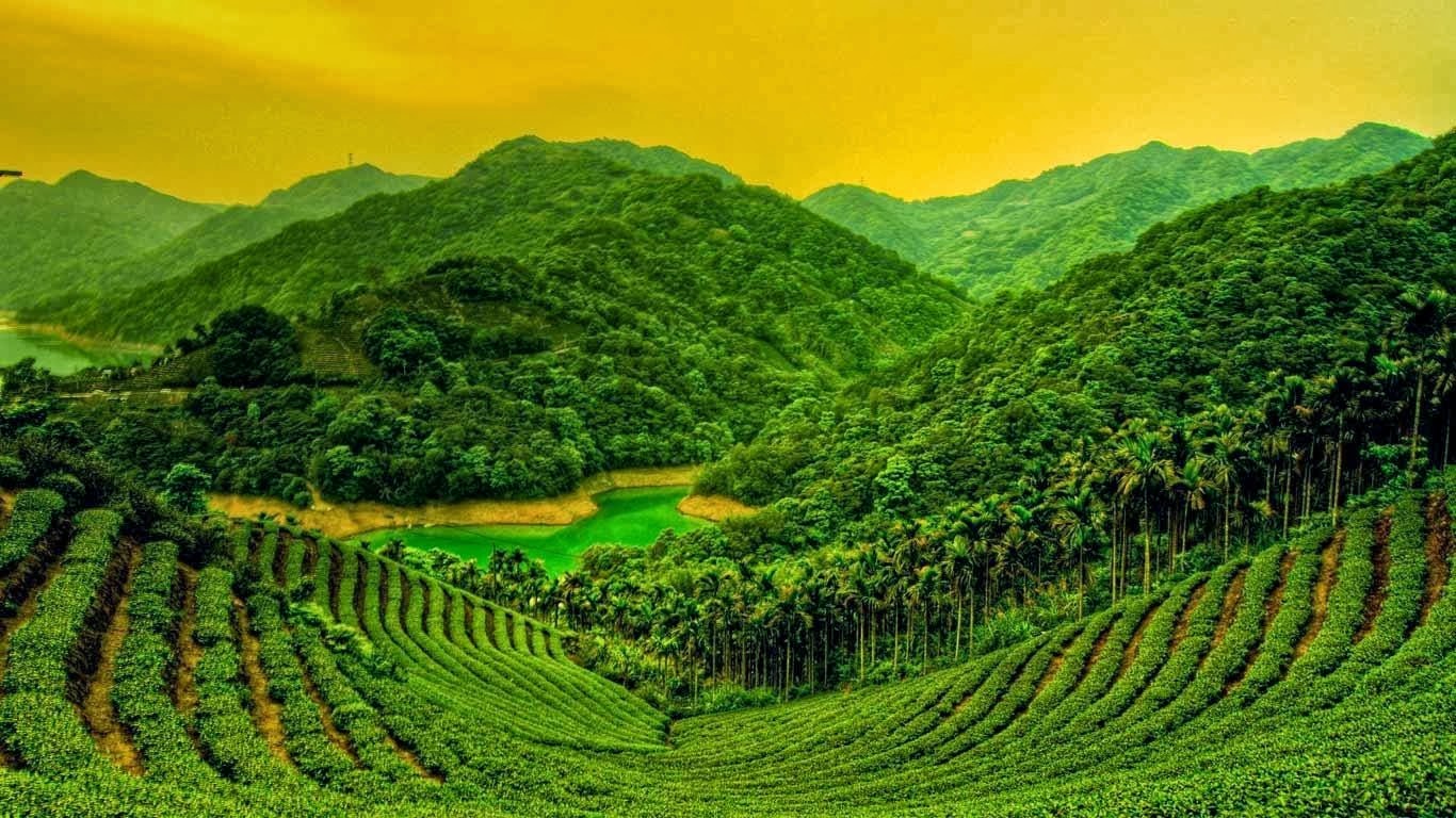 Free Download Bing Desktop Background Daily Change 