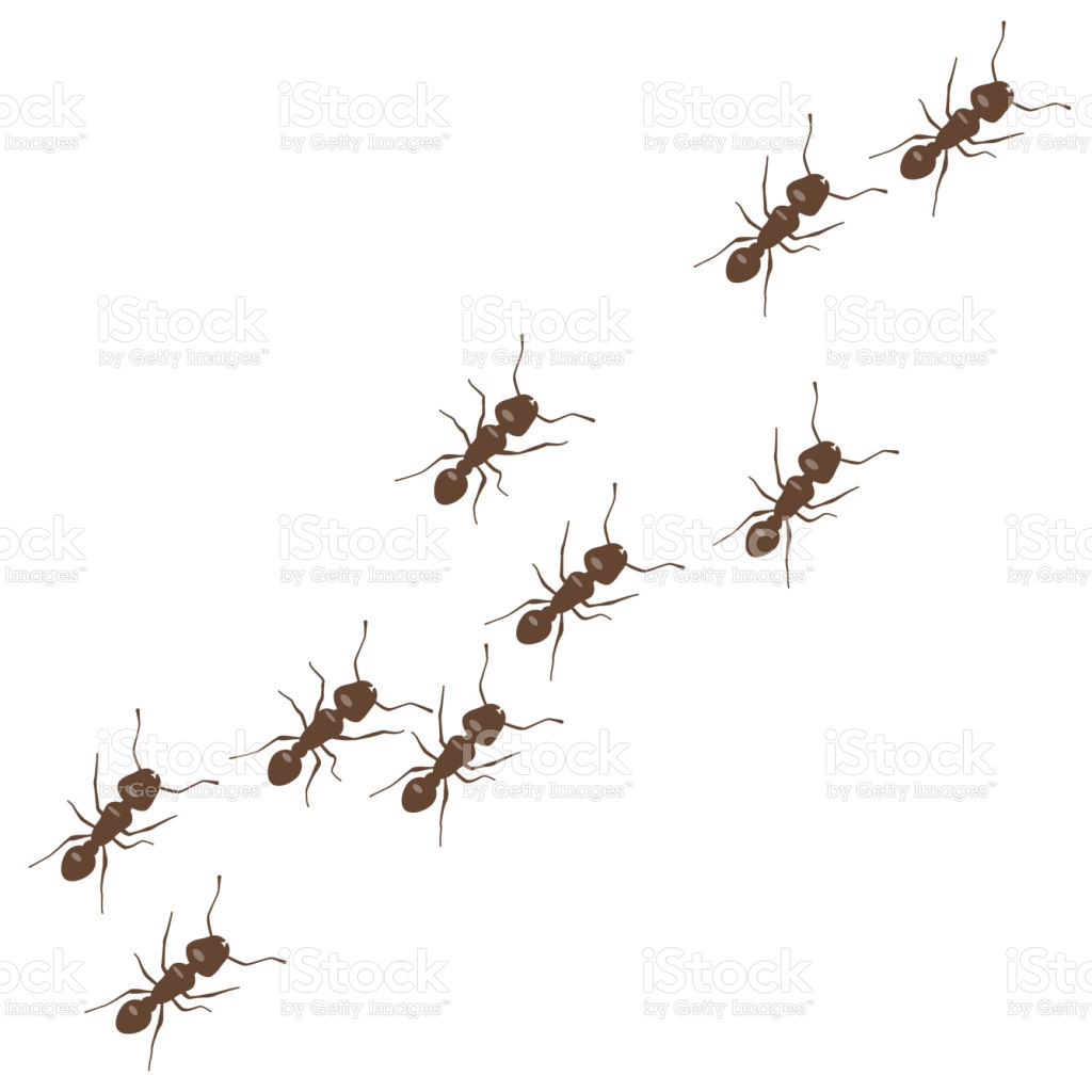 Free download Line Of Worker Ants Marching Vector Isolated On White ...