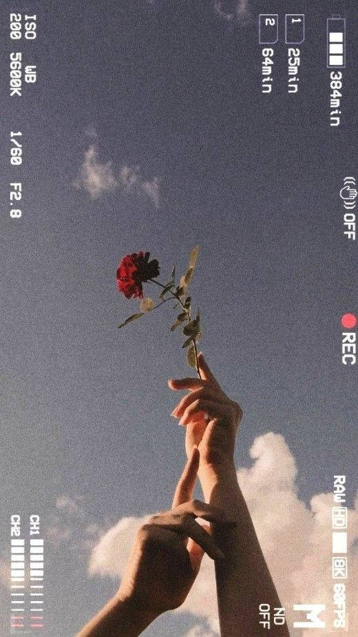 Cool Vibes Wallpaper