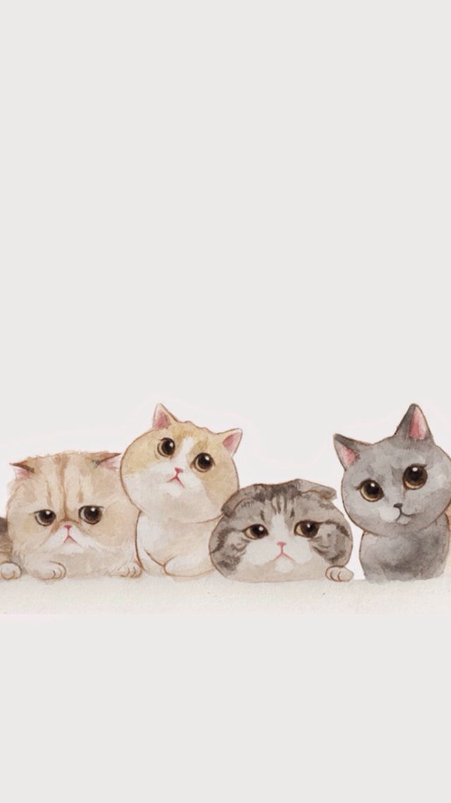 Best Ideas About iPhone Wallpaper Cat